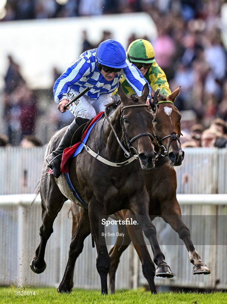 29 July 2026; King Alexander, with Daniel King up, on their way to winning the Tote Galway Plate during day three of the Galway Races Summer Festival at Ballybrit Racecourse in Galway. Photo by Seb Daly/Sportsfile