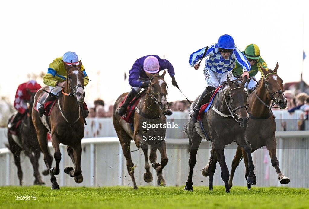29 July 2026; King Alexander, right, with Daniel King up, on their way to winning the Tote Galway Plate during day three of the Galway Races Summer Festival at Ballybrit Racecourse in Galway. Photo by Seb Daly/Sportsfile