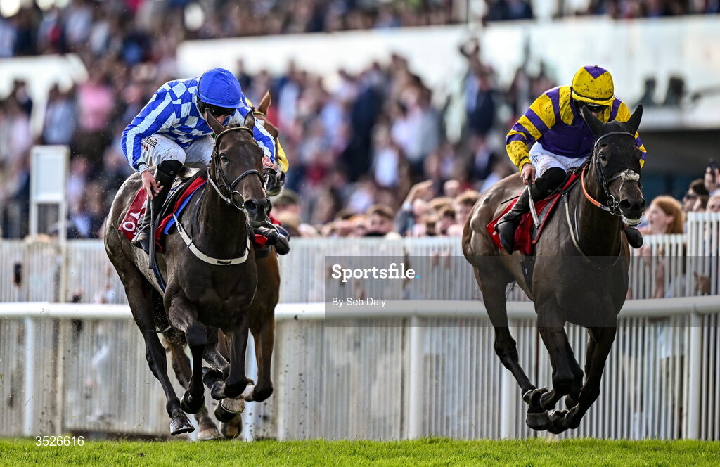 29 July 2026; King Alexander, left, with Daniel King up, on their way to winning the Tote Galway Plate during day three of the Galway Races Summer Festival at Ballybrit Racecourse in Galway. Photo by Seb Daly/Sportsfile