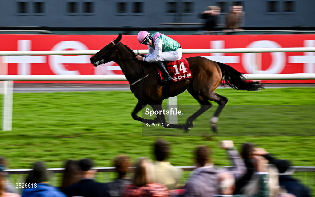 29 July 2026; Abbotsford, with Finian Maguire up, on their way to winning the Visit Tote26 Maiden during day three of the Galway Races Summer Festival at Ballybrit Racecourse in Galway. Photo by Seb Daly/Sportsfile