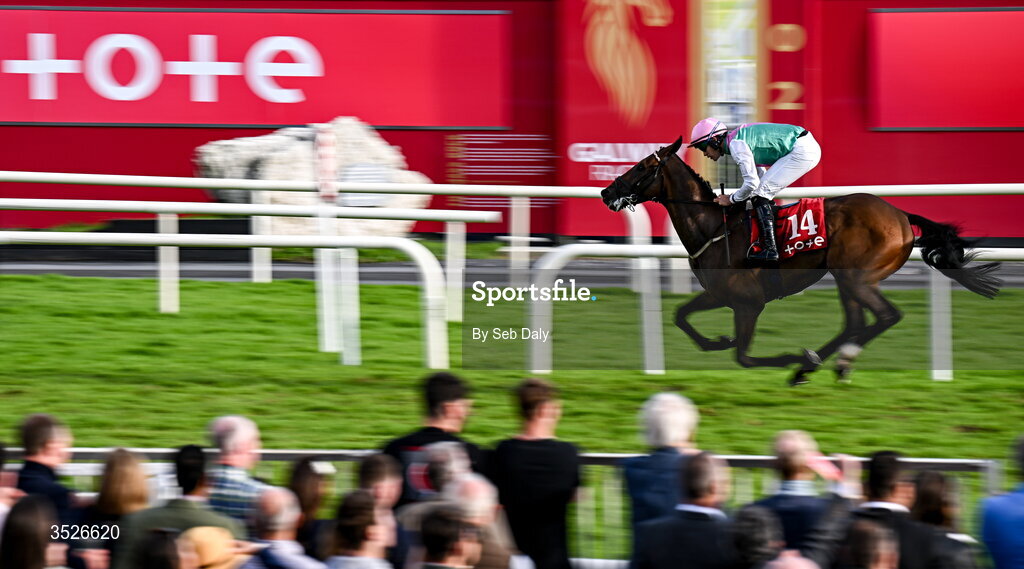 29 July 2026; Abbotsford, with Finian Maguire up, on their way to winning the Visit Tote26 Maiden during day three of the Galway Races Summer Festival at Ballybrit Racecourse in Galway. Photo by Seb Daly/Sportsfile