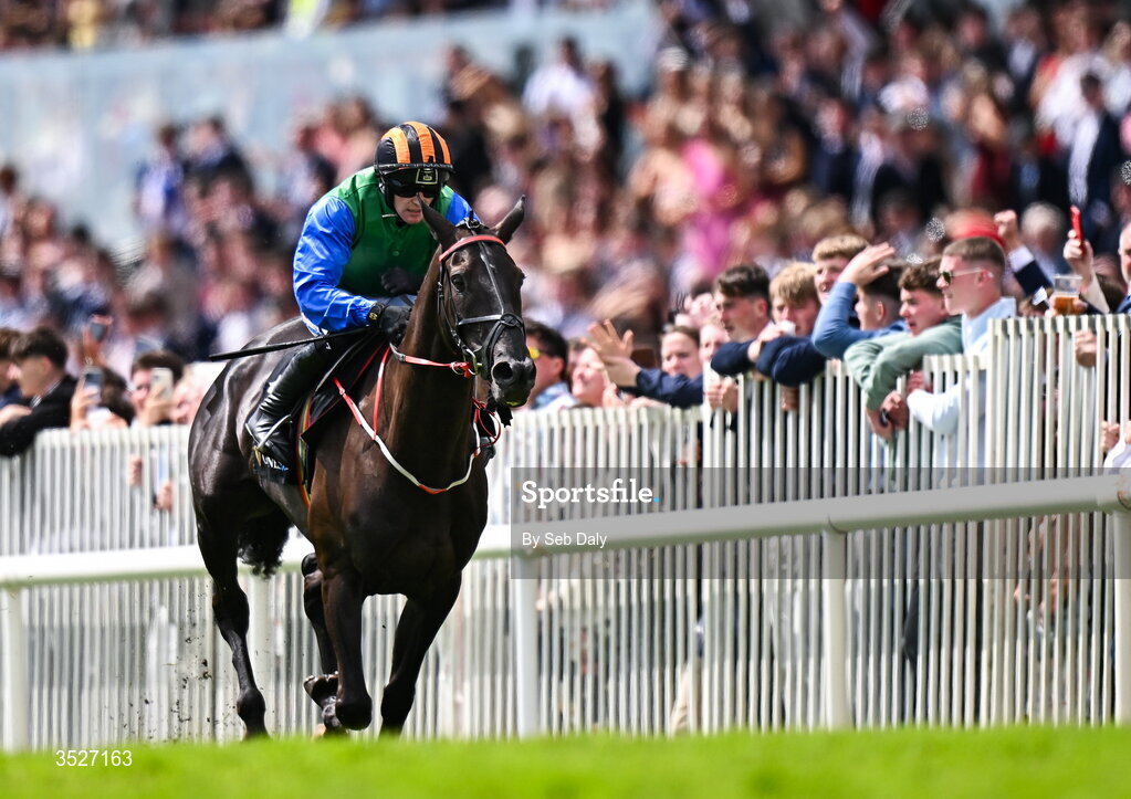 30 July 2026; Shadow Paddy, with Gary Noonan up, on their way to winning the Guinness Open Gate Brewery Novice Steeplechase during day four of the Galway Races Summer Festival at Ballybrit Racecourse in Galway. Photo by Seb Daly/Sportsfile