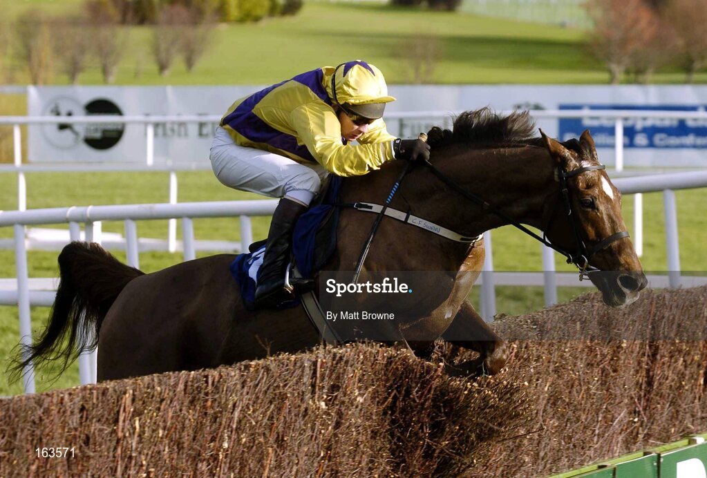 29 December 2004; Strong Project, with Paul Carberry up, jumps the last on their way to winning the Coyle Hamilton Willis Beginners Steeplechase. Leopardstown Racecourse, Dublin. Picture credit; Matt Browne / SPORTSFILE