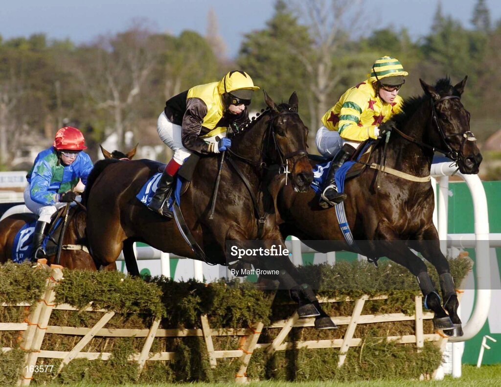 29 December 2004; Southern Vic, 10, with Gary Hutchinson up, jumps the second with Flying Paragan, 3, right, with Martin Mooney, on their way to winning the Mongey Communications Maiden Hurdle. Leopardstown Racecourse, Dublin. Picture credit; Matt Browne / SPORTSFILE