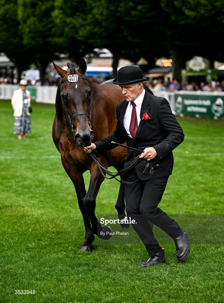 8 August 2026; Penelopé of Ireland in the Mares & Foals during day four of the Gallagher Dublin Horse Show at the RDS in Dublin. Photo by Paul Phelan/Sportsfile