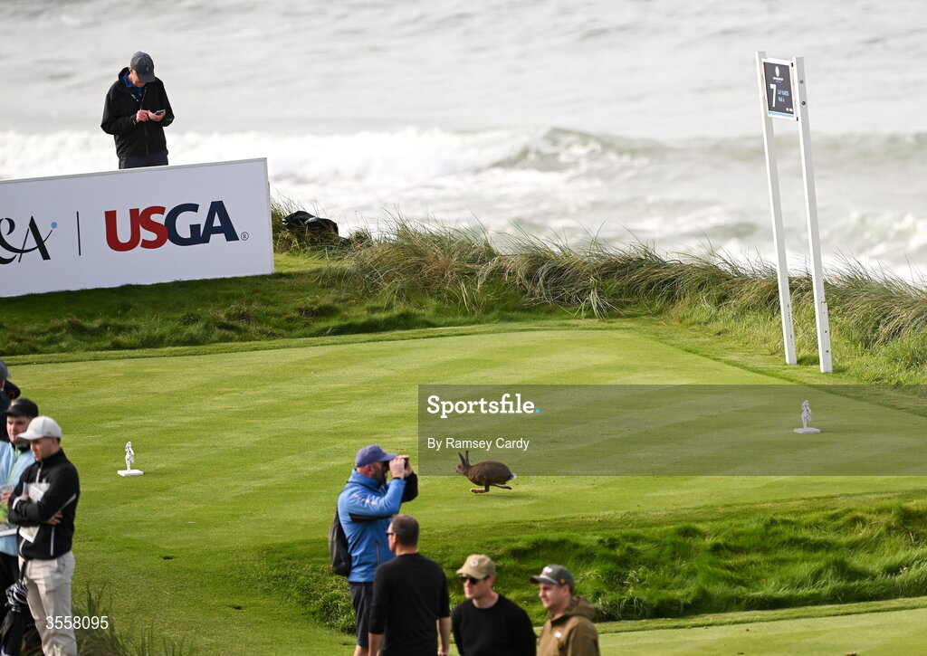 5 September 2026; A hare jumps across the 7th tee box during the foursomes matches on day one of the 51st Walker Cup at Lahinch Golf Club in Lahinch, Clare. Photo by Ramsey Cardy/Sportsfile