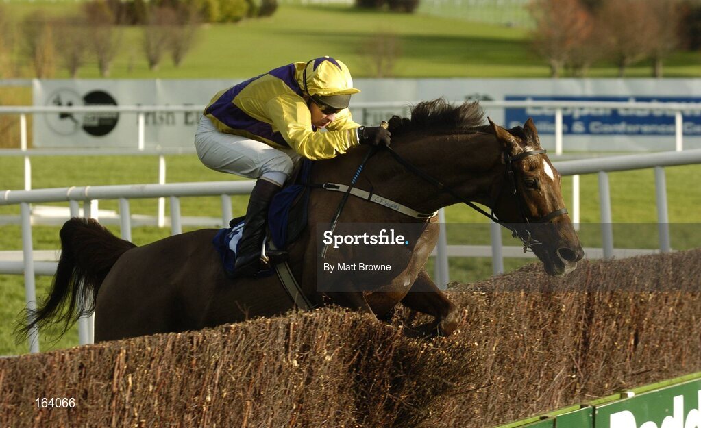 29 December 2004; Strong Project, with Paul Carberry up, jumps the last during the Coyle Hamilton Willis Beginners Steeplechase. Leopardstown Racecourse, Dublin. Picture credit; Matt Browne / SPORTSFILE