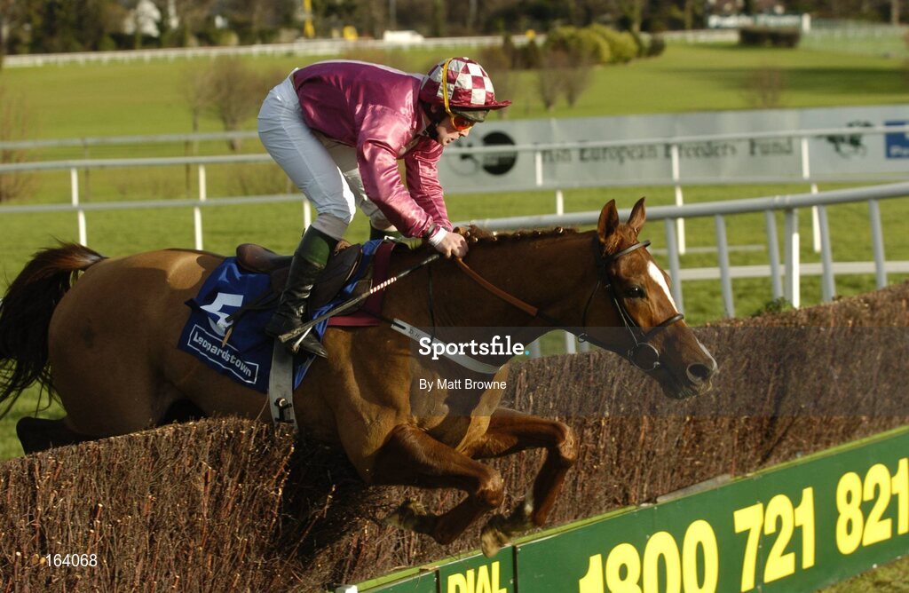 29 December 2004; In To The Sun, with David Russell up, jumps the last during the Coyle Hamilton Willis Beginners Steeplechase. Leopardstown Racecourse, Dublin. Picture credit; Matt Browne / SPORTSFILE