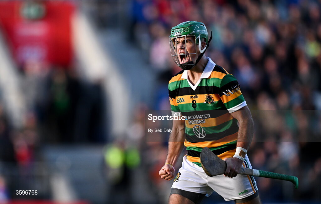 18 October 2026; Rhys Dunne of Glen Rovers celebrates during the Cork County Premier Senior Club Hurling Championship final match between Glen Rovers and St Finbarr's at SuperValu Páirc Uí Chaoimh in Cork. Photo by Seb Daly/Sportsfile