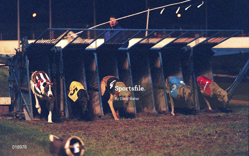 18 January 1997; A general view of the action from a greyhound racing meeting at Shelbourne Park in Dublin. Photo by David Maher/Sportsfile