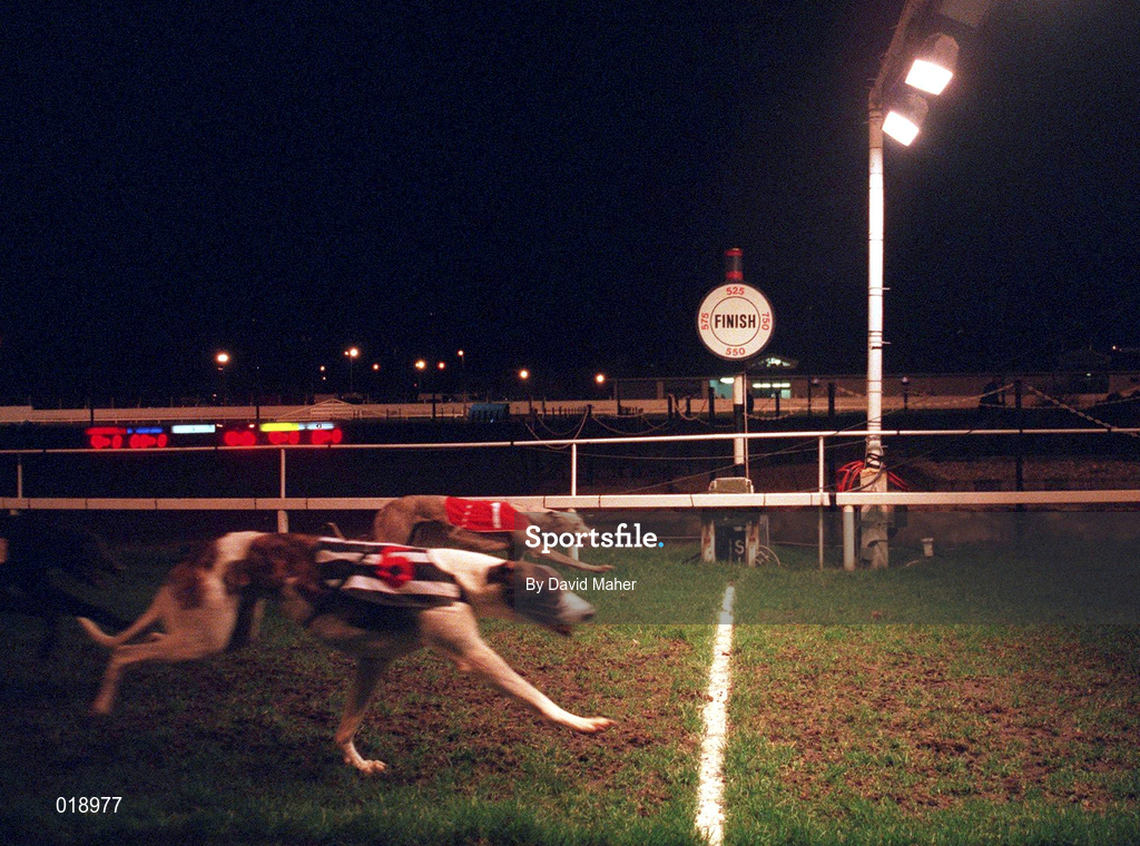 18 January 1997; A general view of the action from a greyhound racing meeting at Shelbourne Park in Dublin. Photo by David Maher/Sportsfile