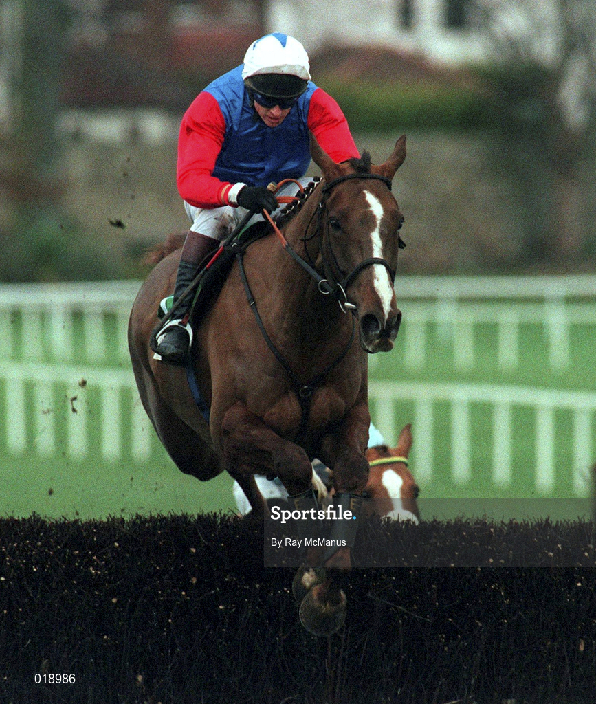 24 January 1999; His Song, with Shay Barry up, clears the last on his way to winning the Baileys Arkle Perpetual Challenge Cup at Leopardstown Racecourse in Dublin. Photo by Ray McManus/Sportsfile