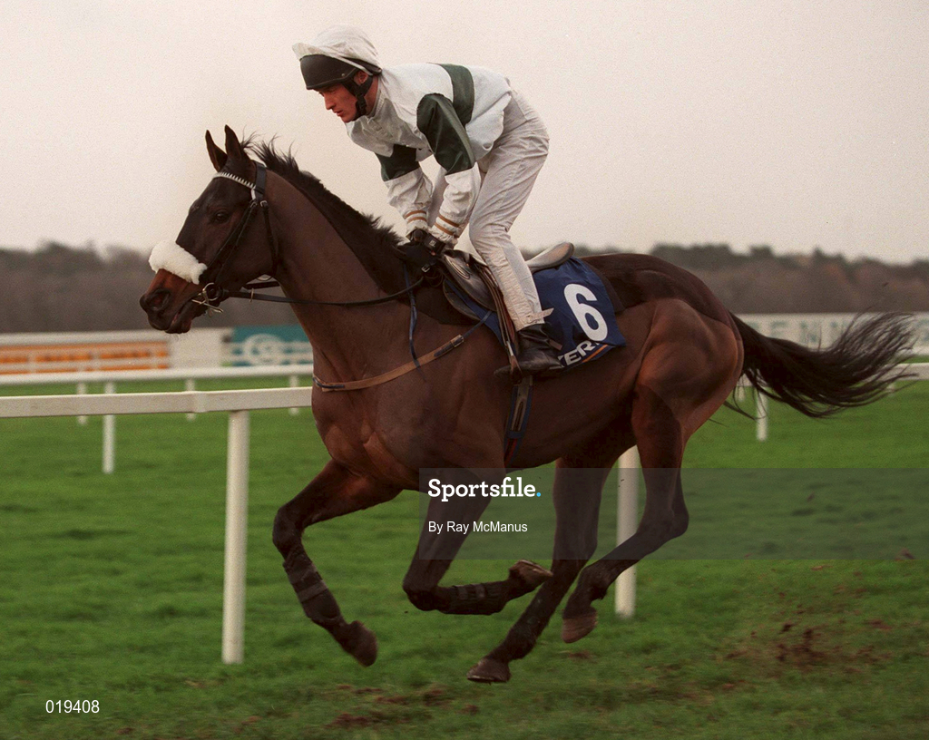 26 December 1998; Persian Isle, with David Casey up, goes to post for The Denny Juvenile Hurdle at Leopardstown Racecourse in Dublin. Photo by Ray McManus/Sportsfile