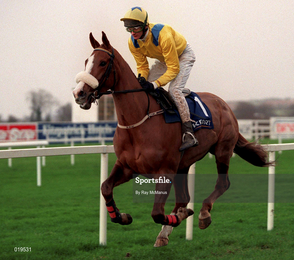 26 December 1998; Simulacrum, with David Evans up, goes to post for The Denny Juvenile Hurdle at Leopardstown Racecourse in Dublin. Photo by Ray McManus/Sportsfile