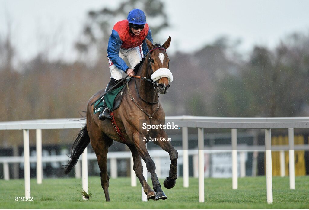 27 December 2013; Double Irish, with Davy Russell up, on their way to winning the Paddy Power Maiden Hurdle. Leopardstown Christmas Racing Festival 2013, Leopardstown Racetrack, Leopardstown, Co. Dublin. Picture credit: Barry Cregg / SPORTSFILE