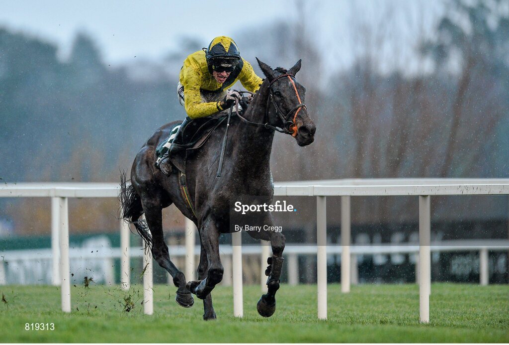 27 December 2013; The Tullow Tank, with Danny Mullins up, on their way to winning the Paddy Power Future Champions Novice Hurdle. Leopardstown Christmas Racing Festival 2013, Leopardstown Racetrack, Leopardstown, Co. Dublin. Picture credit: Barry Cregg / SPORTSFILE