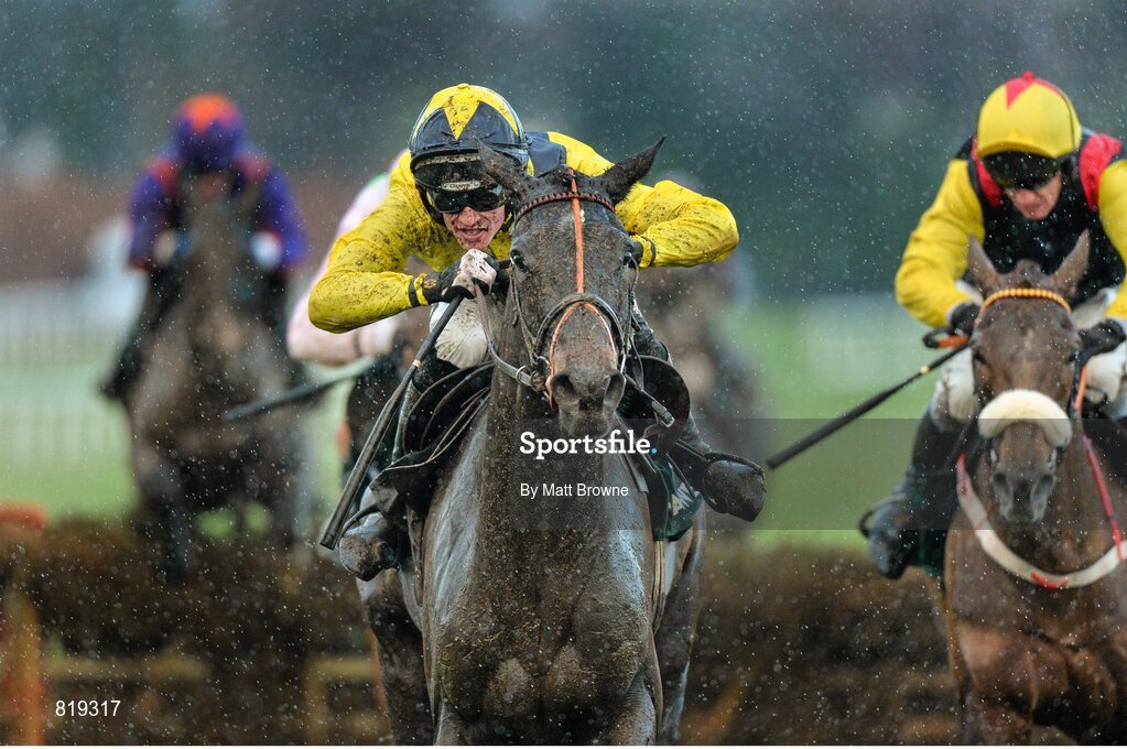 27 December 2013; The Tullow Tank, with Danny Mullins up, after jumping the last on their way to winning the Paddy Power Future Champions Novice Hurdle. Leopardstown Christmas Racing Festival 2013, Leopardstown Racetrack, Leopardstown, Co. Dublin. Picture credit: Matt Browne / SPORTSFIL