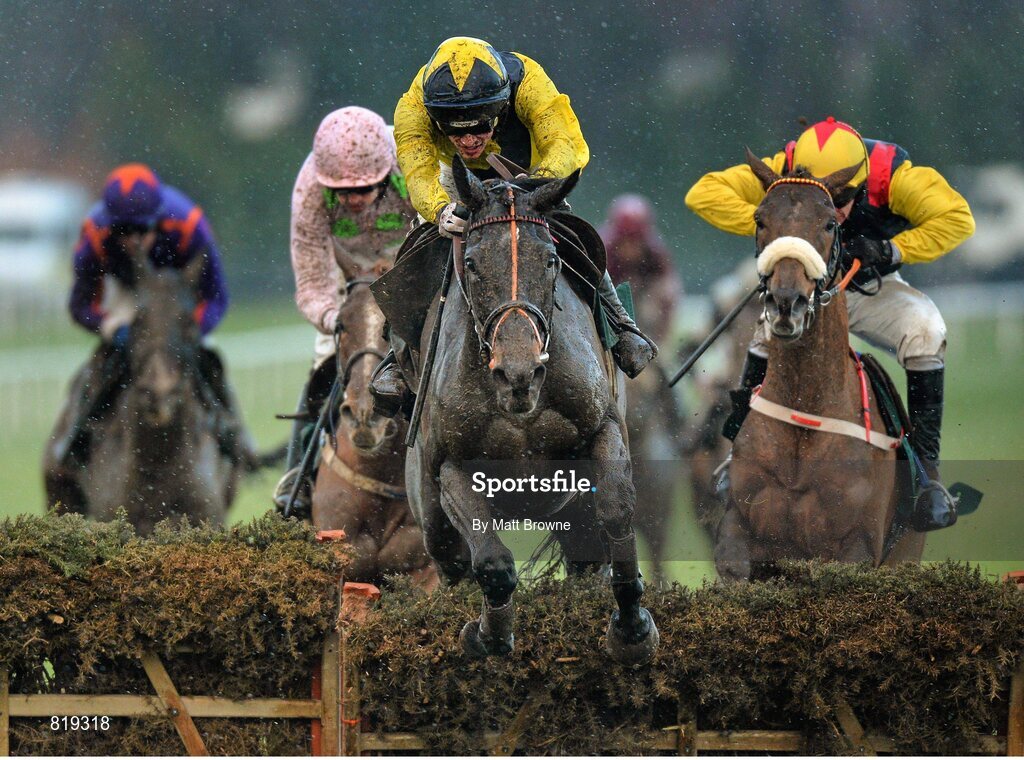 27 December 2013; The Tullow Tank, with Danny Mullins up, clears the last on their way to winning the Paddy Power Future Champions Novice Hurdle. Leopardstown Christmas Racing Festival 2013, Leopardstown Racetrack, Leopardstown, Co. Dublin. Picture credit: Matt Browne / SPORTSFILE