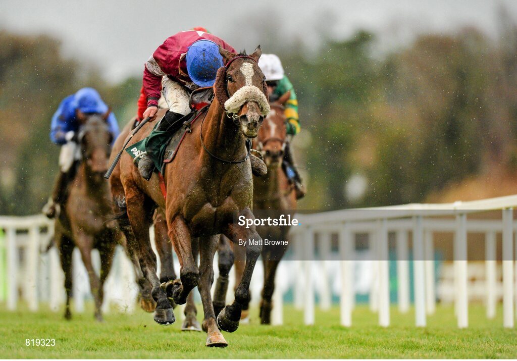 27 December 2013; Rocky Wednesday, with Robbie Colgan up, on their way to winning the Paddy Power Handicap Hurdle. Leopardstown Christmas Racing Festival 2013, Leopardstown Racetrack, Leopardstown, Co. Dublin. Picture credit: Matt Browne / SPORTSFILE