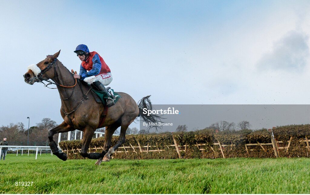 27 December 2013; Double Irish, with Davy Russell up, on their way to winning the Paddy Power Maiden Hurdle after jumping the last. Leopardstown Christmas Racing Festival 2013, Leopardstown Racetrack, Leopardstown, Co. Dublin. Picture credit: Matt Browne / SPORTSFILE