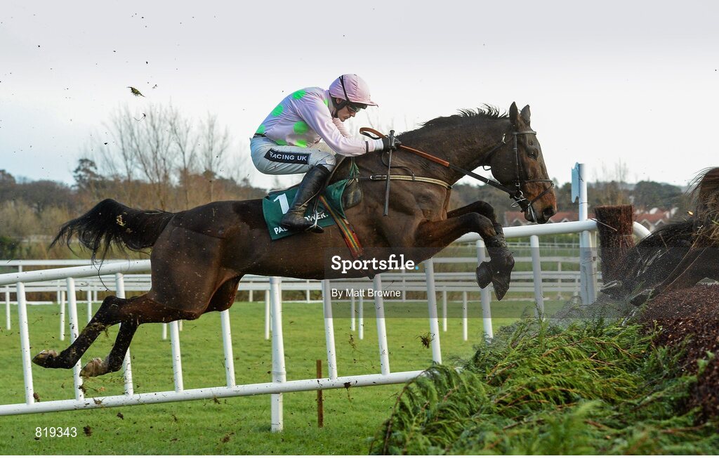 27 December 2013; Arvike Ligeonniere, with Ruby Walsh up, clears the first during the Paddy Power Dial-a-Bet Steeplechase. Leopardstown Christmas Racing Festival 2013, Leopardstown Racetrack, Leopardstown, Co. Dublin. Picture credit: Matt Browne / SPORTSFILE