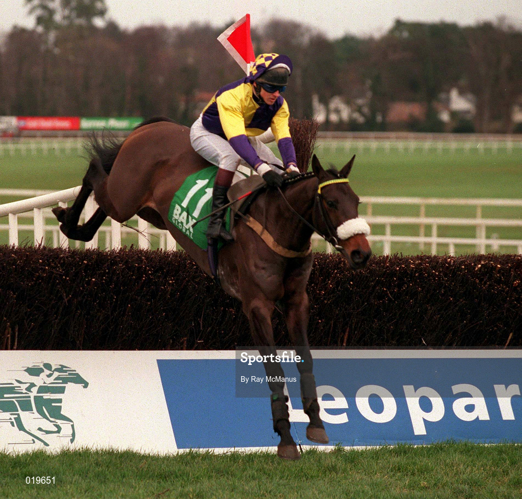 24 January 1999; Blasket Sound, with Shay Barry up, during the Bax Global Handicap Steeplechase at Leopardstown Racecourse in Dublin. Photo by Ray McManus/Sportsfile