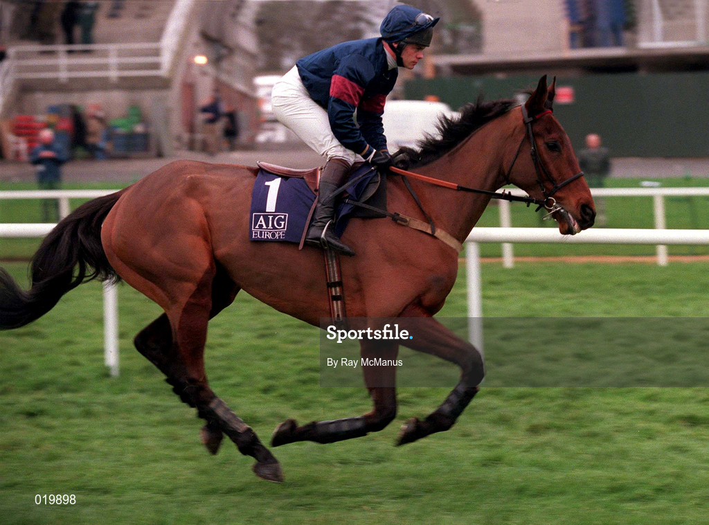 24 January 1999; French Holly, with Adrian Maguire up, canters to the start of the AIG Championship Hurdle at Leopardstown Racecourse in Dublin. Photo by Ray McManus/Sportsfile