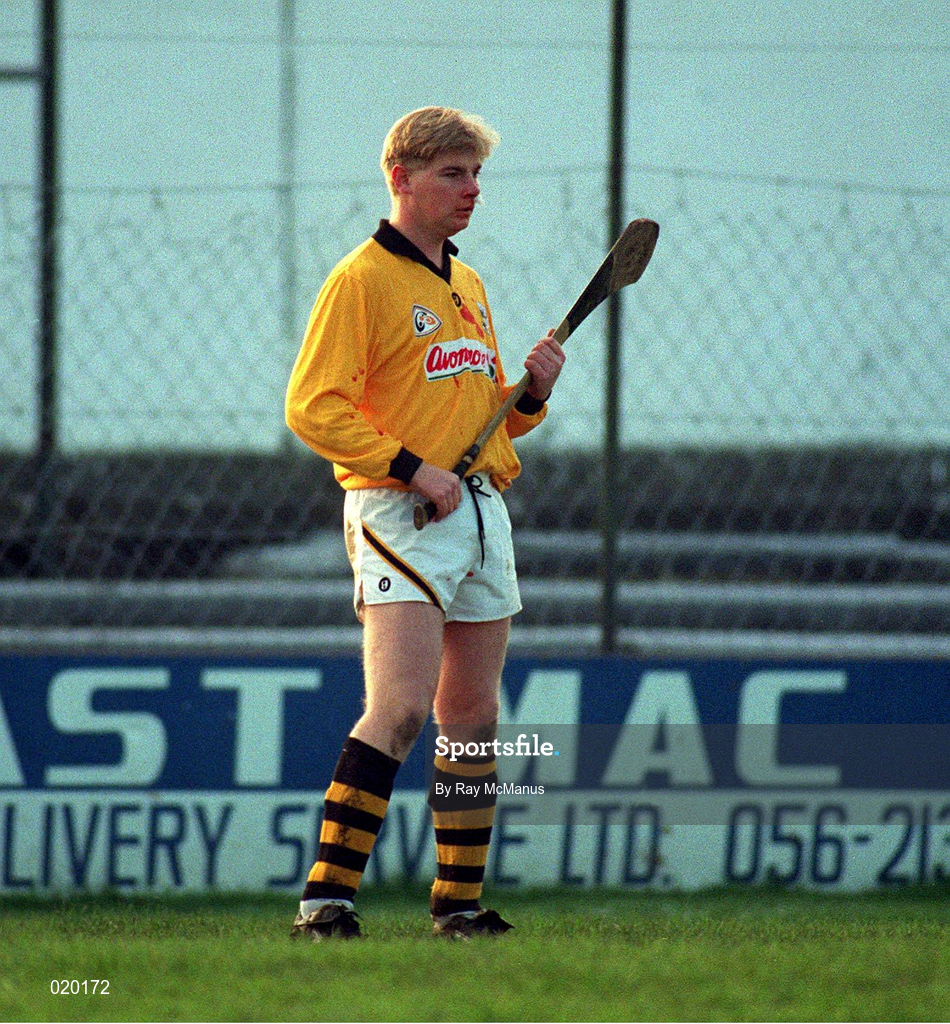 19 November 1995; Martin Carey of Kilkenny during the Church & General National Hurling League match between Kilkenny and Offaly at Nowlan Park in Kilkenny. Photo by Ray McManus/Sportsfile