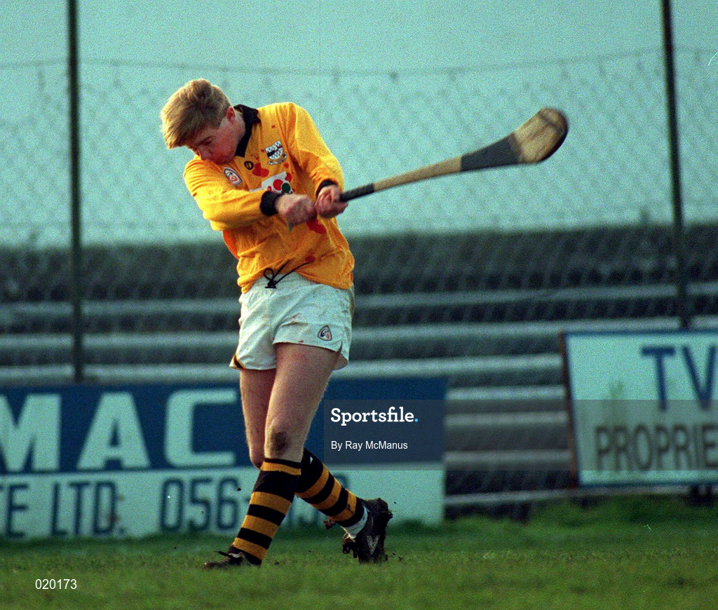 19 November 1995; Martin Carey of Kilkenny during the Church & General National Hurling League match between Kilkenny and Offaly at Nowlan Park in Kilkenny. Photo by Ray McManus/Sportsfile