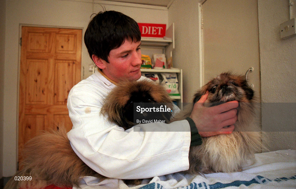 19 February 1999; Offaly hurler Shane McGuckin at his Veterinary practice in Gorey, Wexford. Photo by David Maher/Sportsfile