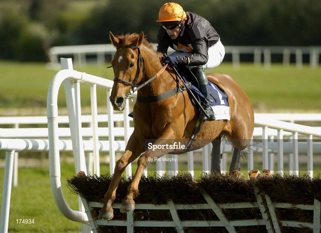 28 April 2005; Carlys Quest, with Keith Mercer up, clears the last on their way to winning the Ballymore Properties Champion Stayers Hurdle. Punchestown Racecourse, Co. Kildare. Picture credit; Pat Murphy / SPORTSFILE