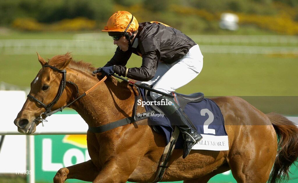 28 April 2005; Carlys Quest, with Keith Mercer up, races clear of the last on their way to winning the Ballymore Properties Champion Stayers Hurdle. Punchestown Racecourse, Co. Kildare. Picture credit; Pat Murphy / SPORTSFILE