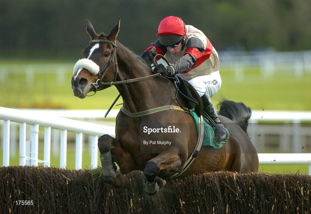 28 April 2005; Watson Lake, with Paul Carberry up, during the Swordlestown Cup Novice Steeplechase. Punchestown Racecourse, Co. Kildare. Picture credit; Pat Murphy / SPORTSFILE