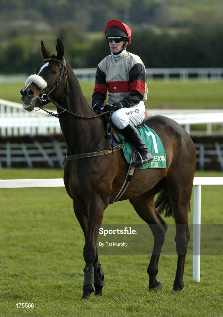 28 April 2005; Watson Lake, with Paul Carberry up, await the start of the Swordlestown Cup Novice Steeplechase. Punchestown Racecourse, Co. Kildare. Picture credit; Pat Murphy / SPORTSFILE