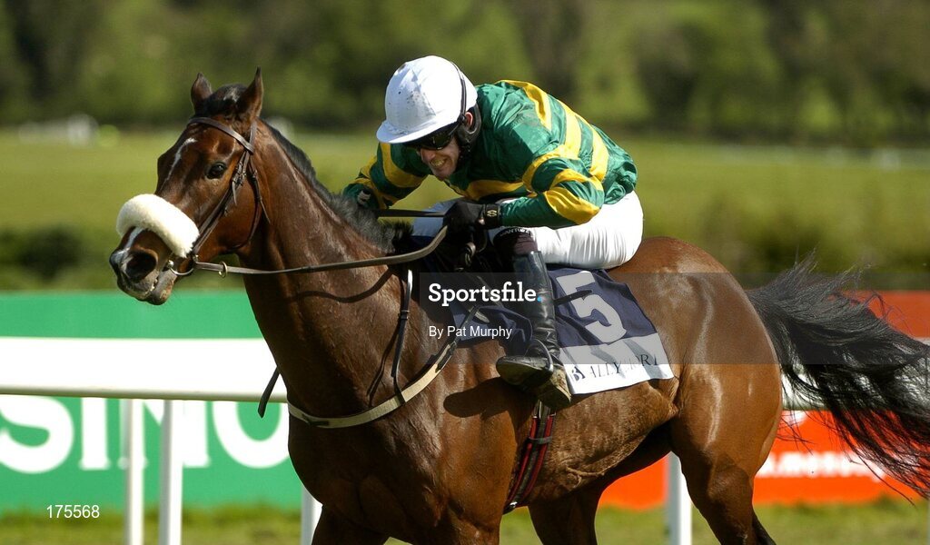 28 April 2005; Kadoun, with Tony McCoy up, during the Ballymore Properties Champion Stayers Hurdle. Punchestown Racecourse, Co. Kildare. Picture credit; Pat Murphy / SPORTSFILE