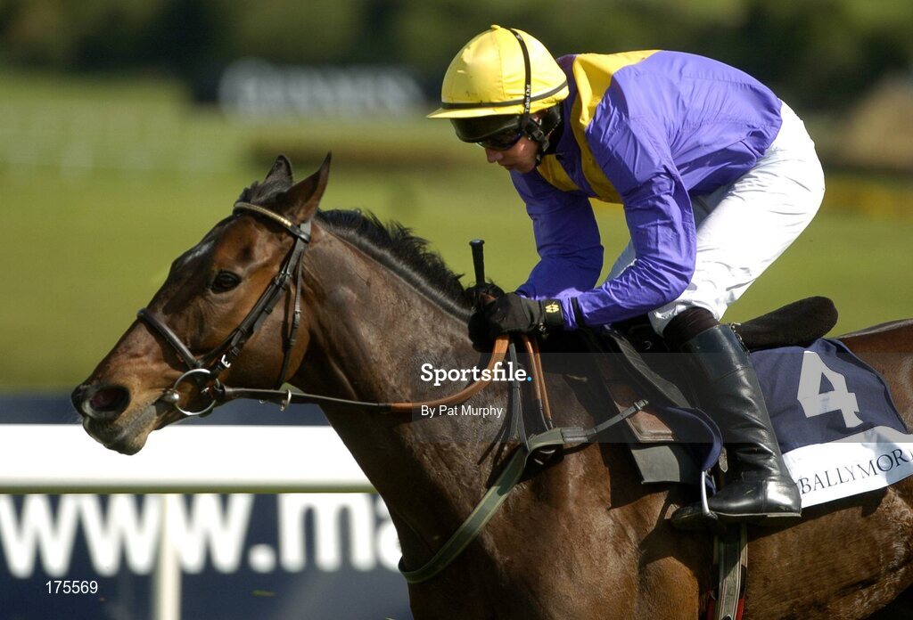 28 April 2005; Homer Wells, with David Condon up, during the Ballymore Properties Champion Stayers Hurdle. Punchestown Racecourse, Co. Kildare. Picture credit; Pat Murphy / SPORTSFILE