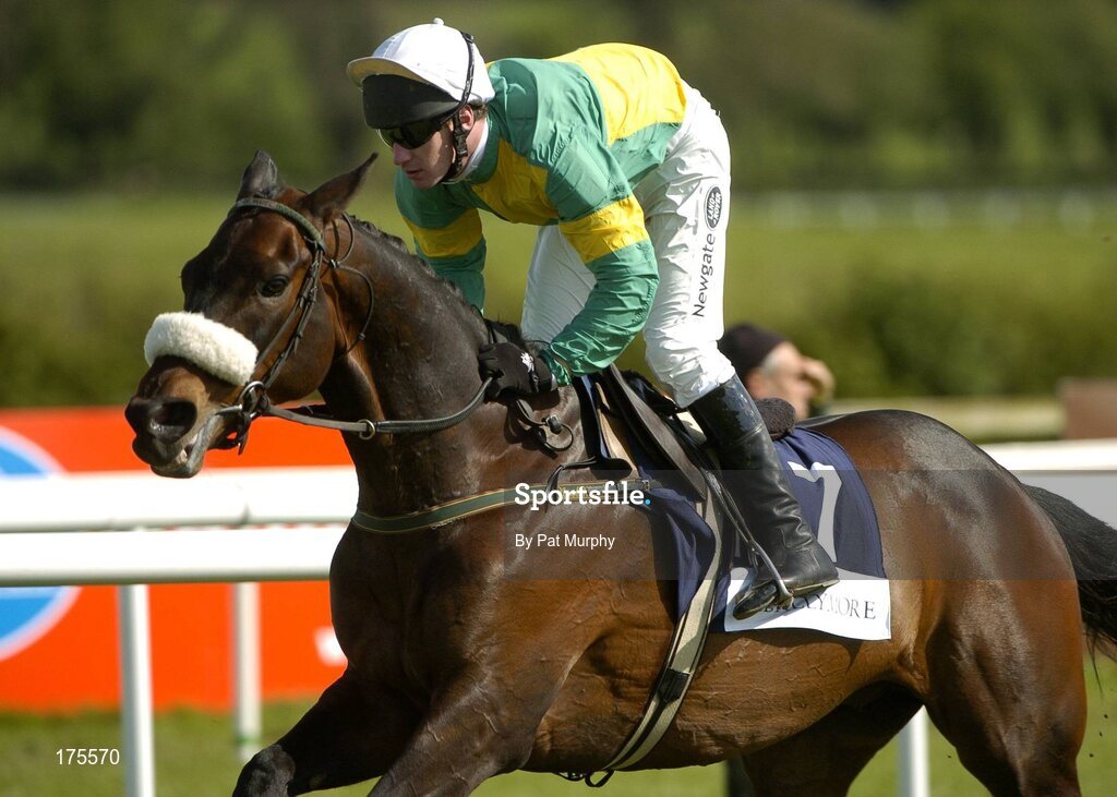 28 April 2005; Rosaker, with Paul Carberry up, in action during the Ballymore Properties Champion Stayers Hurdle. Punchestown Racecourse, Co. Kildare. Picture credit; Pat Murphy / SPORTSFILE