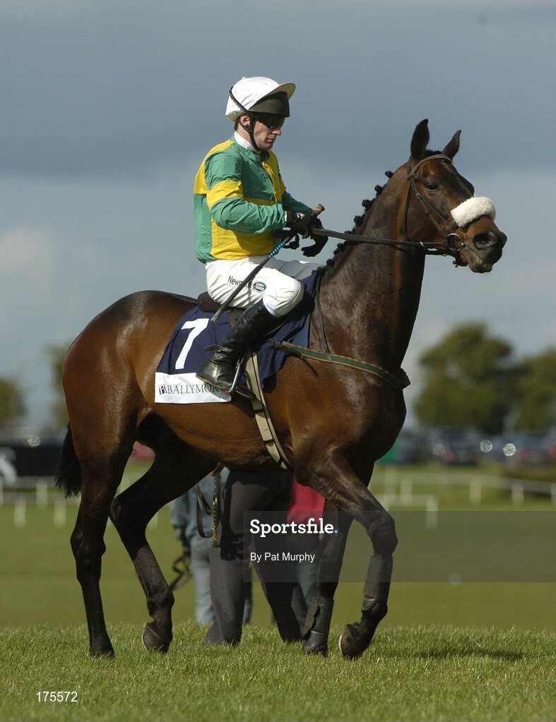 28 April 2005; Rosaker, with Tony McCoy up, before the Ballymore Properties Champion Stayers Hurdle. Punchestown Racecourse, Co. Kildare. Picture credit; Pat Murphy / SPORTSFILE