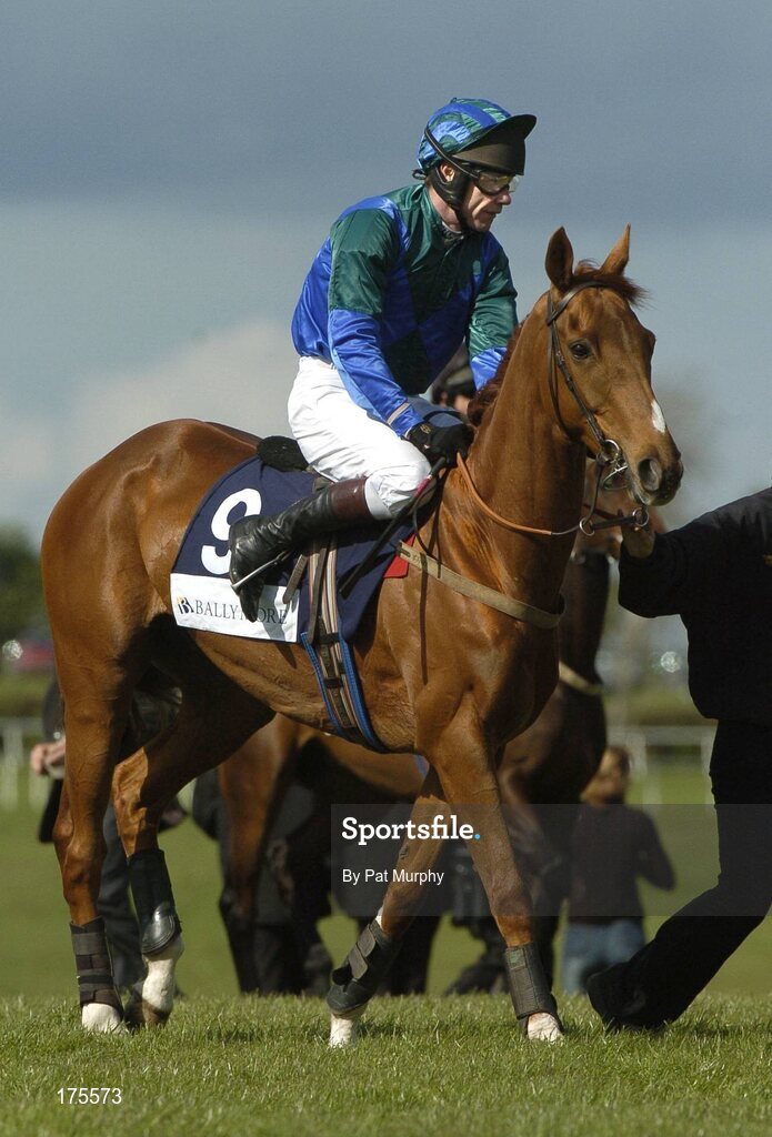 28 April 2005; Yogi, with Mick Fitzgerald up, before the Ballymore Properties Champion Stayers Hurdle. Punchestown Racecourse, Co. Kildare. Picture credit; Pat Murphy / SPORTSFILE