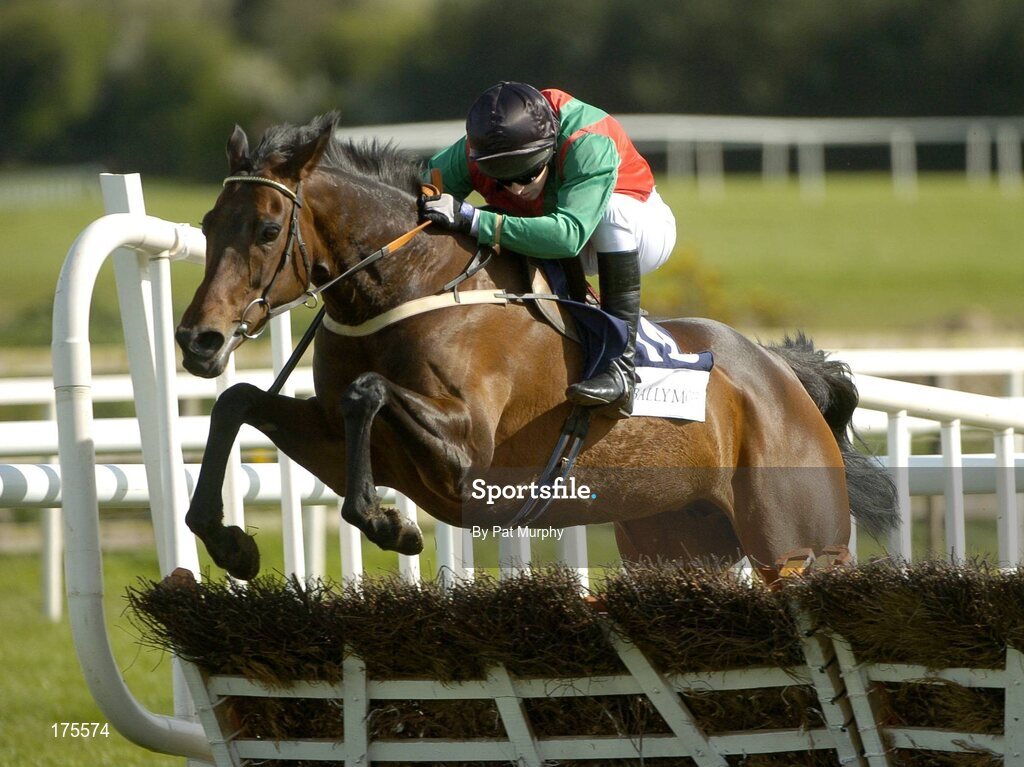 28 April 2005; Solerina, with James Barry up, during the Ballymore Properties Champion Stayers Hurdle. Punchestown Racecourse, Co. Kildare. Picture credit; Pat Murphy / SPORTSFILE