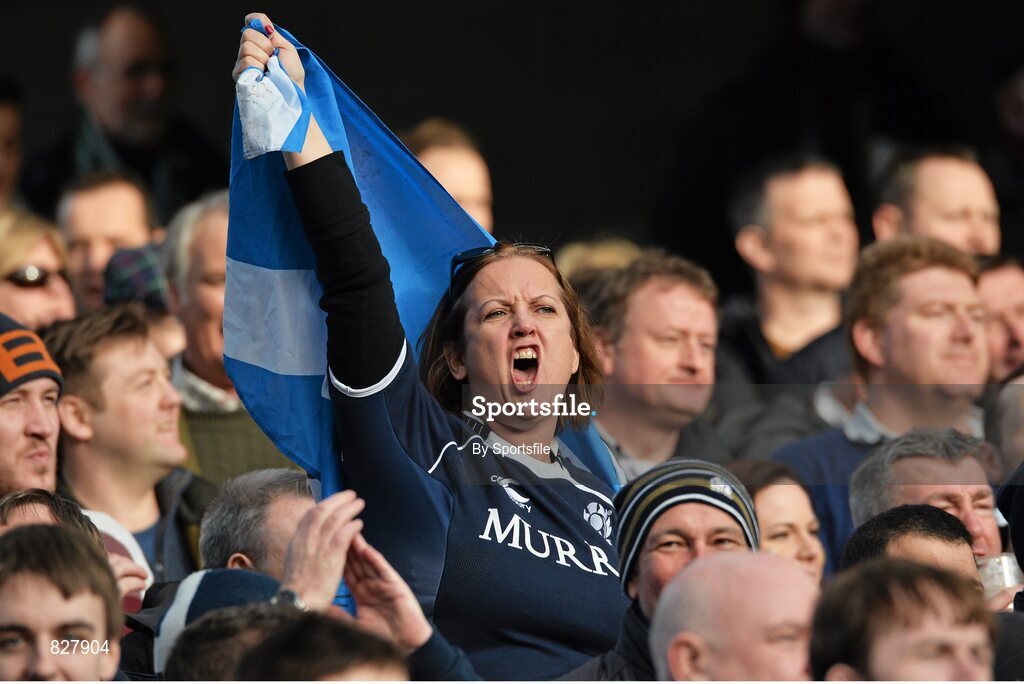 2 February 2014; A Scotland fan reacts during the match. RBS Six Nations Rugby Championship, Ireland v Scotland, Aviva Stadium, Lansdowne Road, Dublin. Photo by Sportsfile