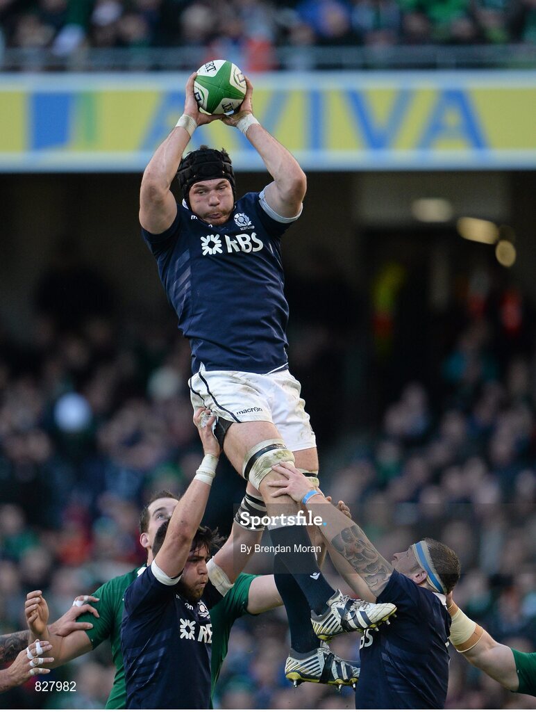 2 February 2014; Tim Swinson, Scotland, wins possession for his side in a lineout against Ireland. RBS Six Nations Rugby Championship, Ireland v Scotland, Aviva Stadium, Lansdowne Road, Dublin. Picture credit: Brendan Moran / SPORTSFILE