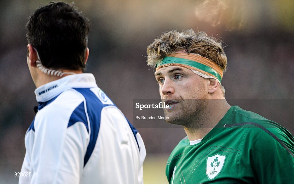 2 February 2014; Ireland captain Jamie Heaslip speaks to referee Craig Joubert during the game. RBS Six Nations Rugby Championship, Ireland v Scotland, Aviva Stadium, Lansdowne Road, Dublin. Picture credit: Brendan Moran / SPORTSFILE