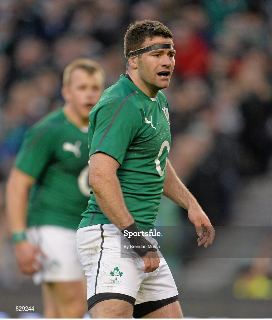 2 February 2014; Fergus McFadden, Ireland. RBS Six Nations Rugby Championship, Ireland v Scotland, Aviva Stadium, Lansdowne Road, Dublin. Picture credit: Brendan Moran / SPORTSFILE