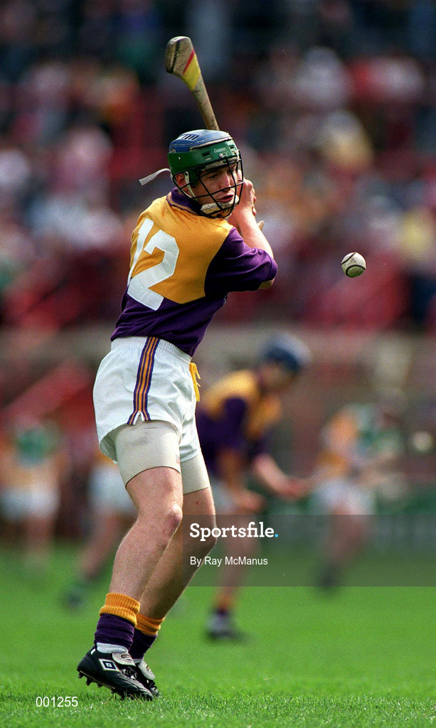 14 July 1996; Larry Murphy of Wexford during the GAA Leinster Senior Hurling Championship Final between Wexford and Offaly at Croke Park in Dublin. Photo by Ray McManus/Sportsfile