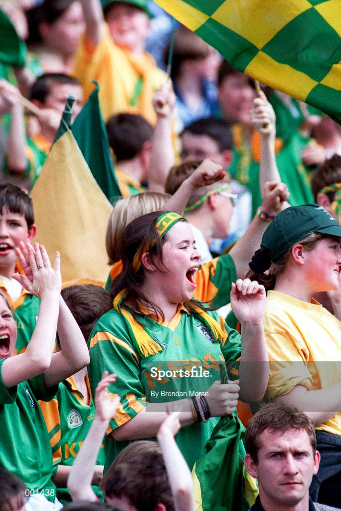 15 June 1997; Meath Fans celebrate during the Leinster GAA Senior Football Championship Quarter-Final match between Offaly and Wicklow at Croke Park in Dublin. Photo by Brendan Moran/Sportsfile