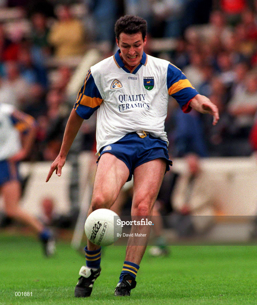 15 June 1997; Raymond Danne of Wicklow during the Leinster GAA Senior Football Championship Quarter-Final match between Offaly and Wicklow at Croke Park in Dublin. Photo by David Maher/Sportsfile