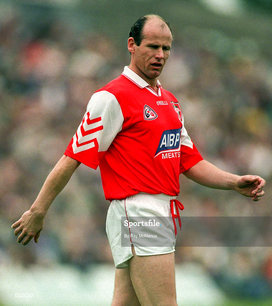 29 June 1997; Stephen Melia of Louth the Leinster GAA Senior Football Championship Semi-Final match between Offaly and Louth at Páirc Tailteann in Navan, Meath. Photo by Ray McManus/Sportsfile