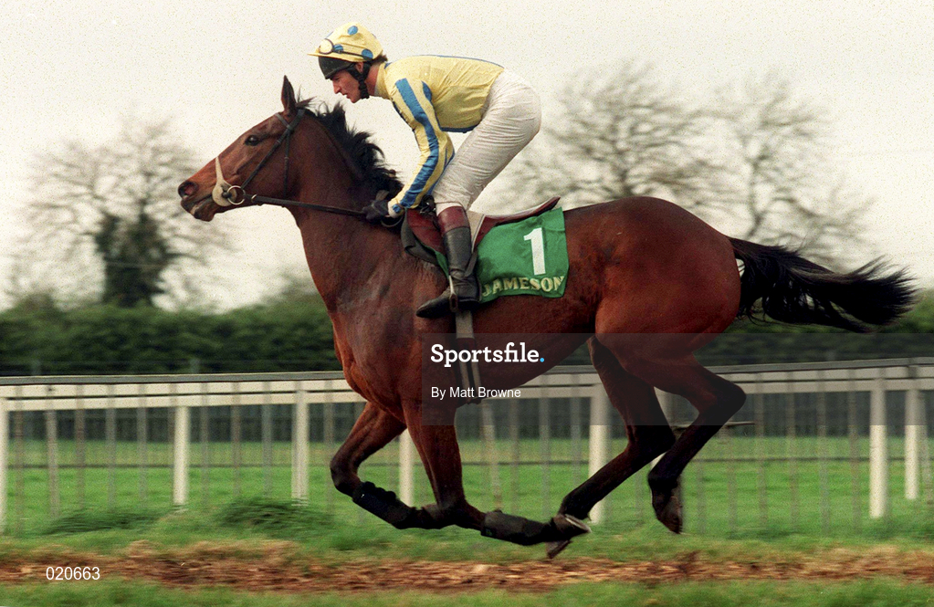 5 April 1999; Dance So Sweet, with Norman Williamson up, canters to the start prior to the Jameson Gold Cup Novice Hurdle at Fairyhouse Racecourse in Ratoath, Meath. Photo by Matt Browne/Sportsfile