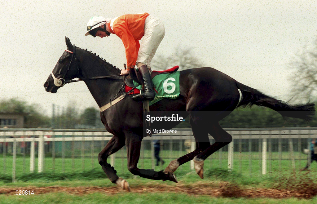 5 April 1999; All The Colours, with Francis Berry up, canters to the start prior to the Jameson Gold Cup Novice Hurdle at Fairyhouse Racecourse in Ratoath, Meath. Photo by Matt Browne/Sportsfile